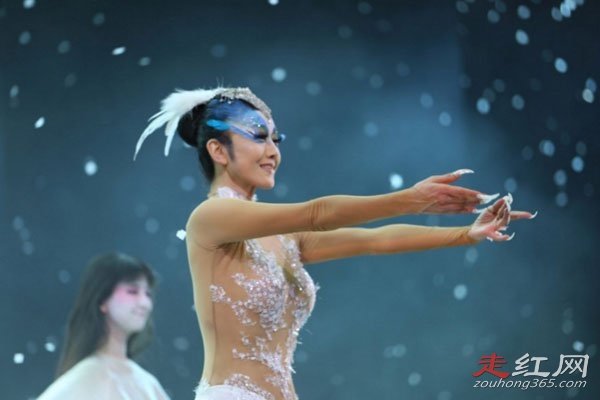 ����Ƽ��������̬���� �����׷��������