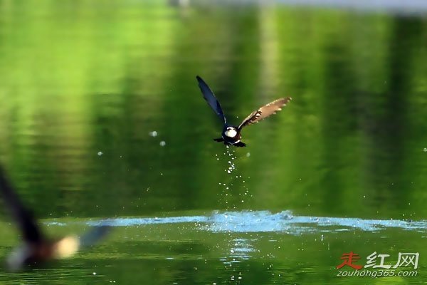 ������ʲô��ɵ���� �ٶ����е�һ��������