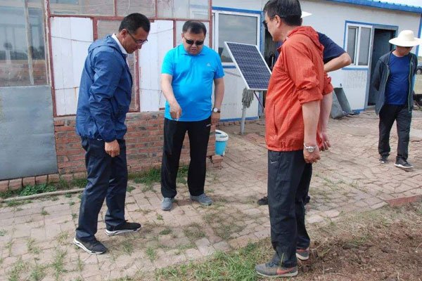 �����ϲ���ʬ�� ��������ʲô��ɫ