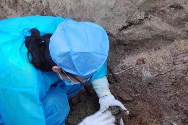 �����ϲ���ʬ�� ��������ʲô��ɫ