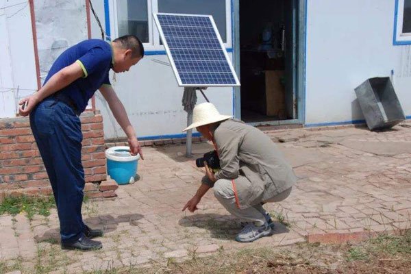 �����ϲ���ʬ�� ��������ʲô��ɫ