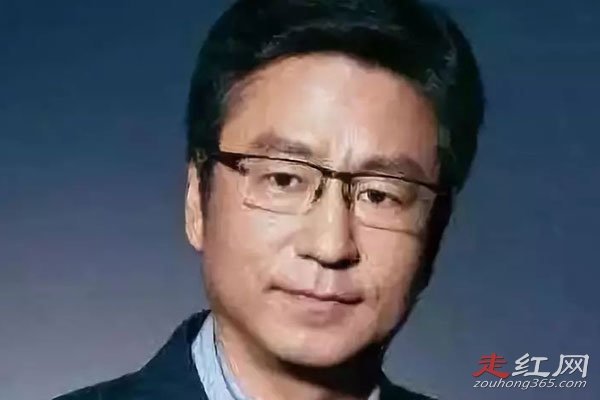 白岩松为什么离开央视 被央视解雇了吗