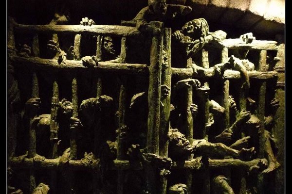 ��������������Ұ����� ��������������û�п���