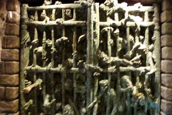 ��������������Ұ����� ��������������û�п���