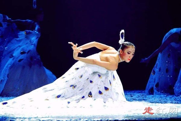 ����Ƽû��ʲô������ Ϊ����ҵ����鲻������