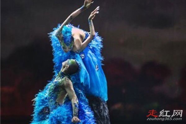 ����Ƽû��ʲô������ Ϊ����ҵ����鲻������