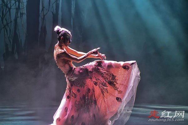 ����Ƽû��ʲô������ Ϊ����ҵ����鲻������