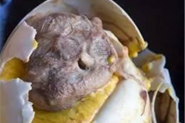 20������ĵ�ʳ������ һ�������Ȱ���