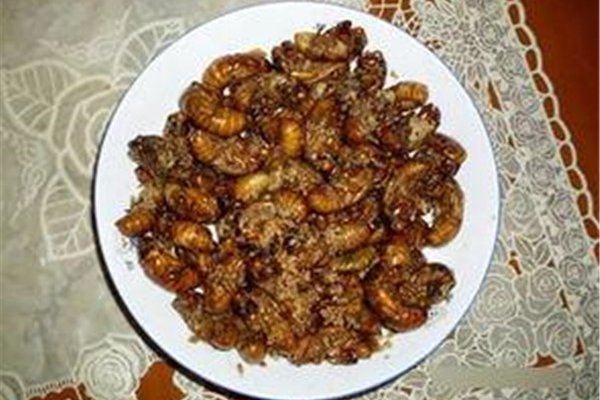 20������ĵ�ʳ������ һ�������Ȱ���