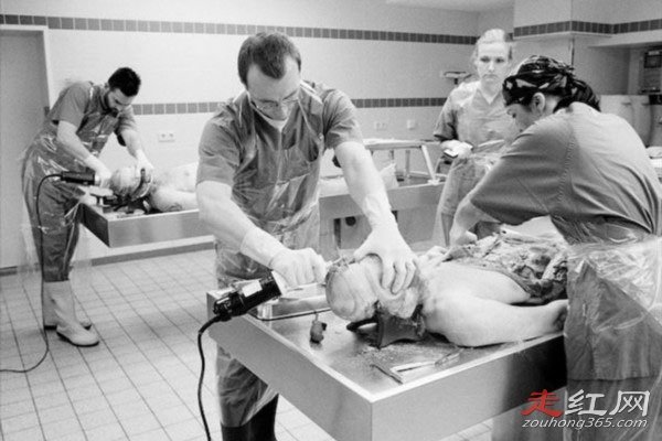 ���˹�ͼƬ����ԭͼʲô�� ��ҽΪʲô���¾��˹�