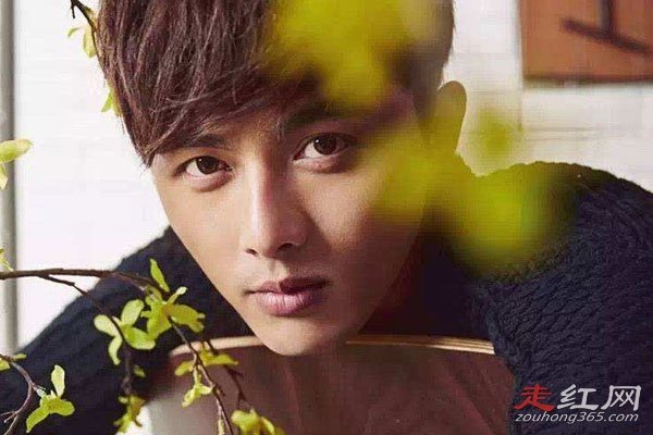 Ҷ���º��ż����Ĺ�ϵ ���߸�����û����һ���