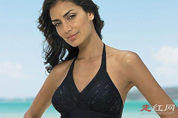 �����������ʲô��Ŀ ��������е�����