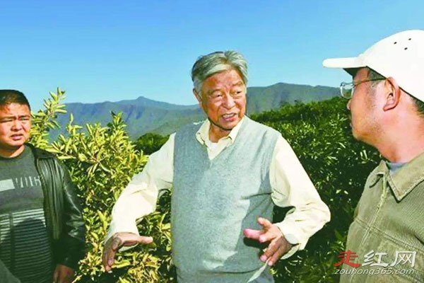 ��ʱ���Ĵ���������� ̰�۱�ץ����ȥ��