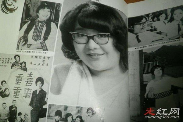 沈殿霞为什么地位高 留了多少遗产给郑欣宜