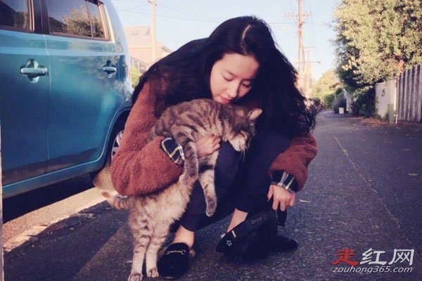 ������Ϲ���˭ �����Ѿ���鲢����