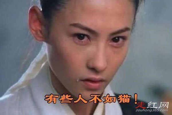 �Ű�֥л������ʽ����������Ϣ������� Ϊʲô��Ļ�