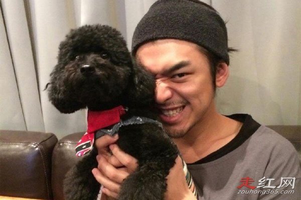 Ϊʲô˵�°������濧 ˽����ǱȽϻ��ҵ�