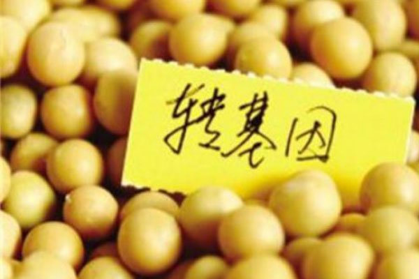 ��������ʲô������ �ʹ���Ԫ�ı���Ӱ����Զ