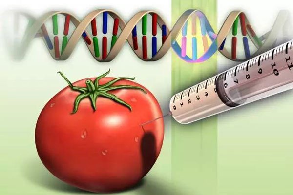 ��������ʲô������ �ʹ���Ԫ�ı���Ӱ����Զ