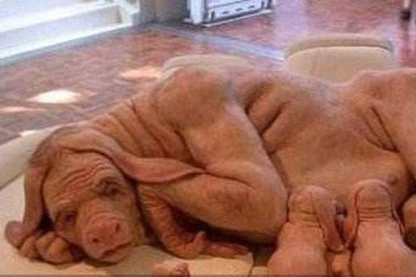 ����Ȧ����������ʲô��˼ ͼƬ�������