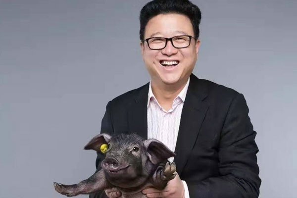 丁磊养(yǎng)的猪是什么品牌 为何至今都没有结婚