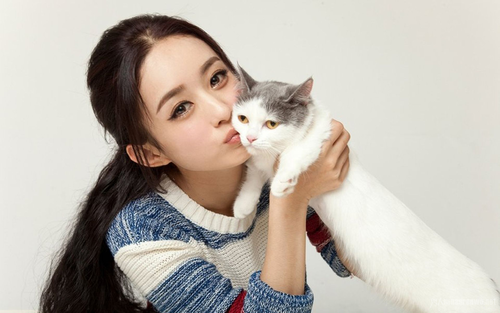 ����ӱ����������������Щ �������ϰ��Ƿ��ְ