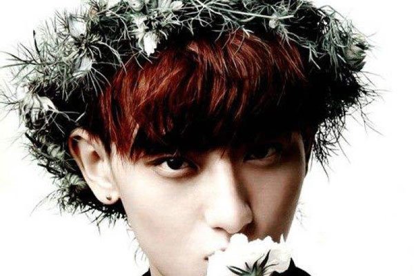 ����躱�exo�ż���ԭ�� Ϊʲô��������