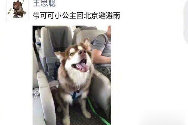 ��˼���ڶ������տ���˭���� �Ա�������