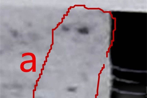 �ӳ��������������� Ӧ��ȥ������Щ�참��Ա