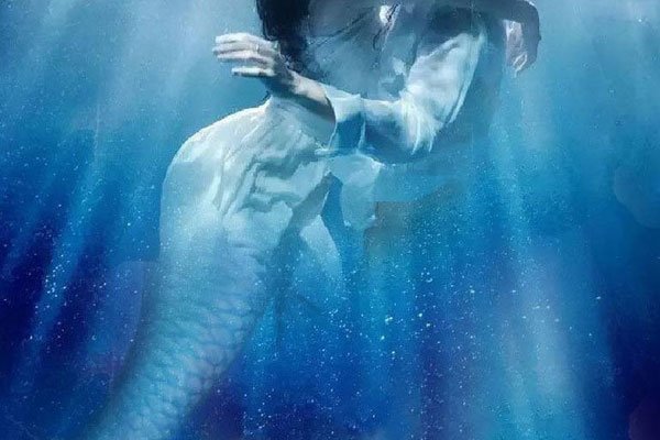 ץ����������������Ƶ���� �����Ƿ���ʵ��