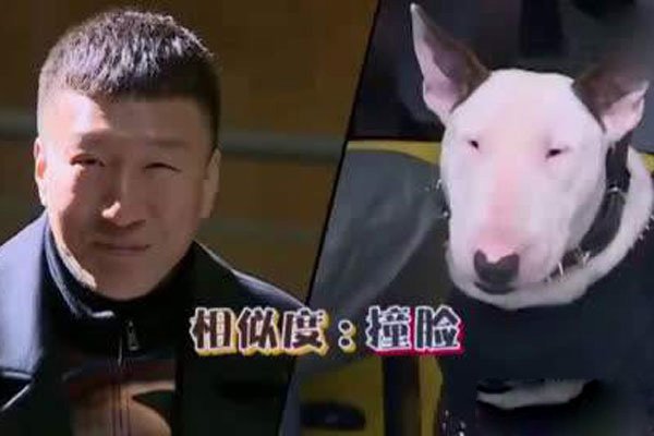 ����׻Ʋ�ʲô��ϵ ������û��˵����