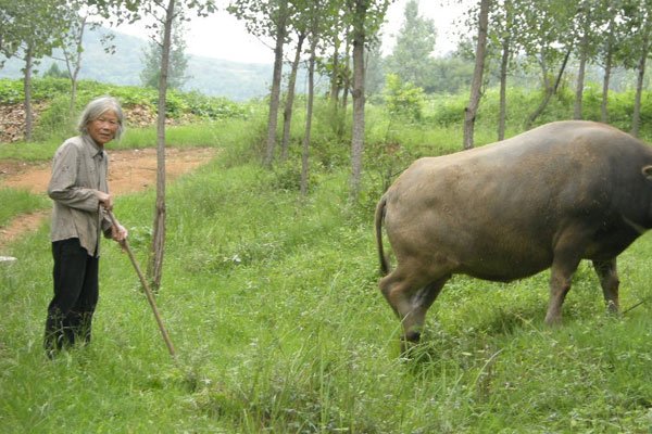 û�·ŷ�ţ��˭ ��ʵ�������в��Ǵ�����