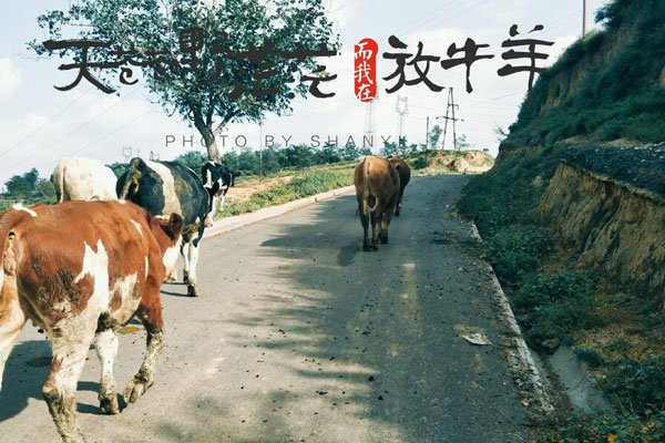 û�·ŷ�ţ��˭ ��ʵ�������в��Ǵ�����