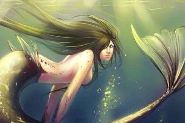 ������������ ������������������������