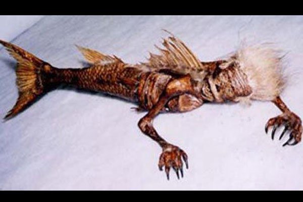 1991南斯拉夫美人鱼化石照片 看上去颇(pǒ)为恐怖吓人