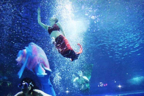 美人鱼真实目击事件美国军方晒出黑鳞鲛人图片