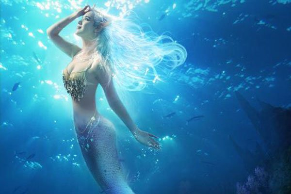 �ձ��˻�����������ʵ��Ƭ ����ʮ�ֵ�Ѫ�ȿֲ�