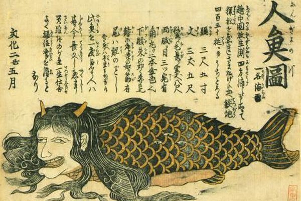日本人活吃美人鱼的真实照片 网传十分的血(xuè)腥(xīng)恐怖