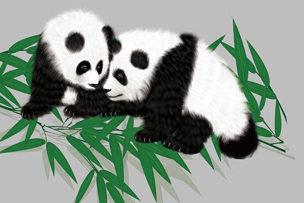 ��èû�·ŷ�ţ��˭ Ͷ����Ա���ݵ�λ��һ��