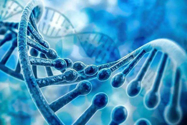 �ؽ�������༭Ӥ���¼� ��嫺�����ƭ��