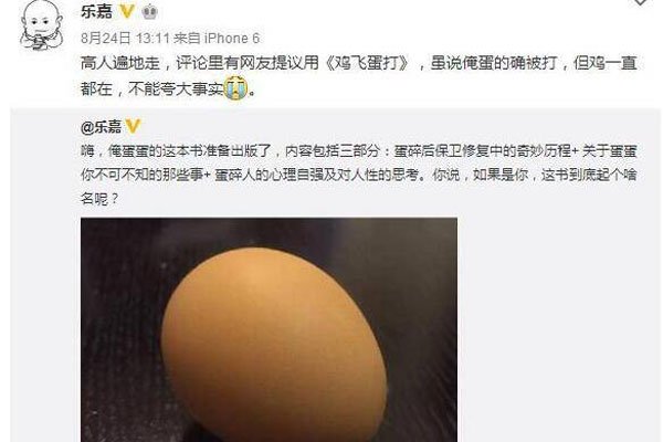 乐嘉蛋碎事件为什么被踢出娱乐圈的原因