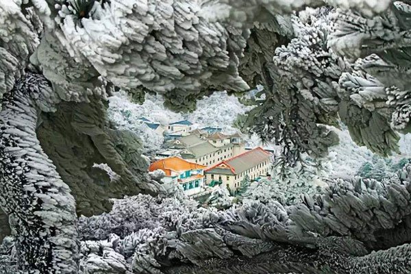 ���궬������� ר�ҵ��жϺܶ඼��׼ȷ