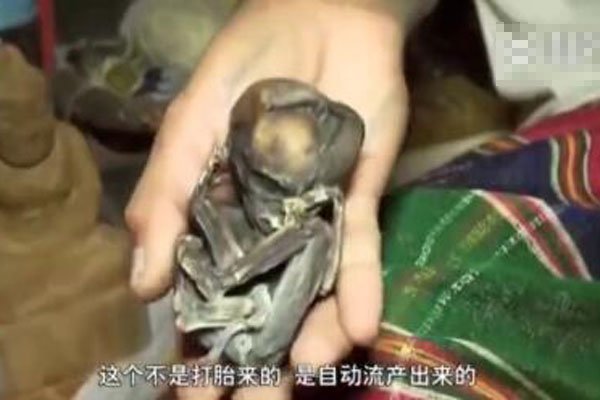 ��С����Ĵ����� ��С���������³��ж��
