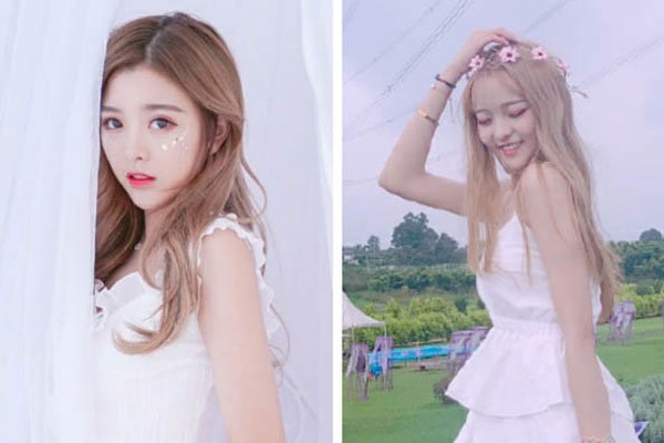 ��ʮ����������ô�� ���������Ѳ���������