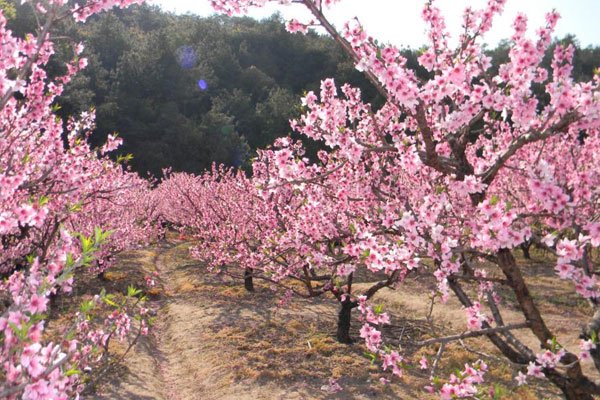 �һ�����û����֮ǰ ��һ�������ݳ���������