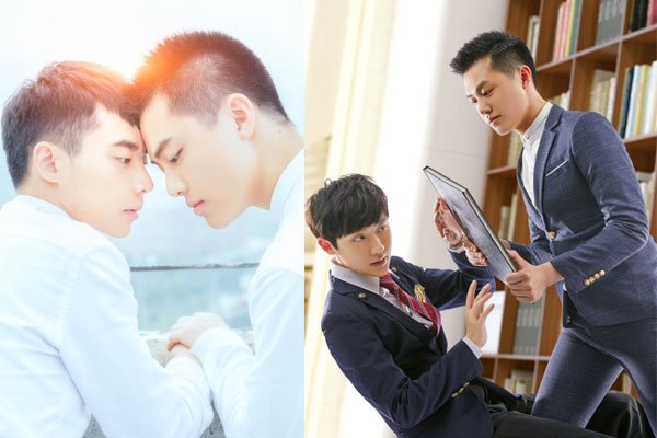 �����ձ���ɭ�������� ���Ĺ�����ν���ܲô���