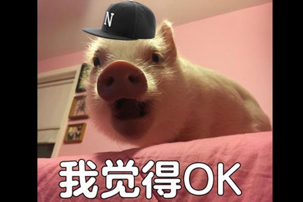 obj��ʲô��˼ ȱ�θ�����ʱ��������
