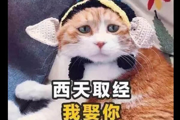 �����𵽱�������С��· ʡ���Ժ�������˧�粻����