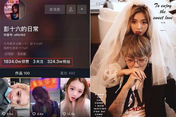 �������ʮ���¼���ô�� ��ϵ��ľ��������