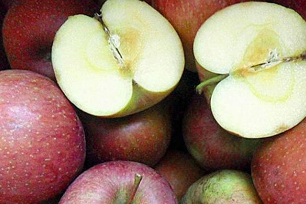 丑苹果的功效与作用 就是糖心病苹果